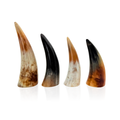 Natürliches Ochsenhorn, Feuer-Schröpfen, GuaSha