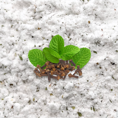 Mund- und Zahnpflegesalz