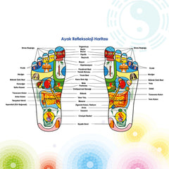 Prado AcuTherapist ayak refleksoloji masajı, masaj diski